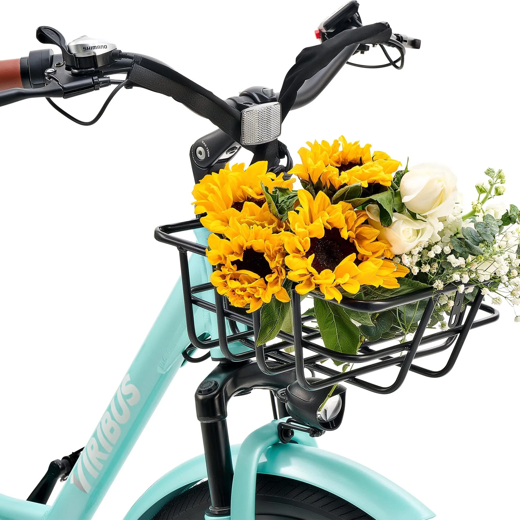 Viribus BZ1 Step-Thru Electric Bike